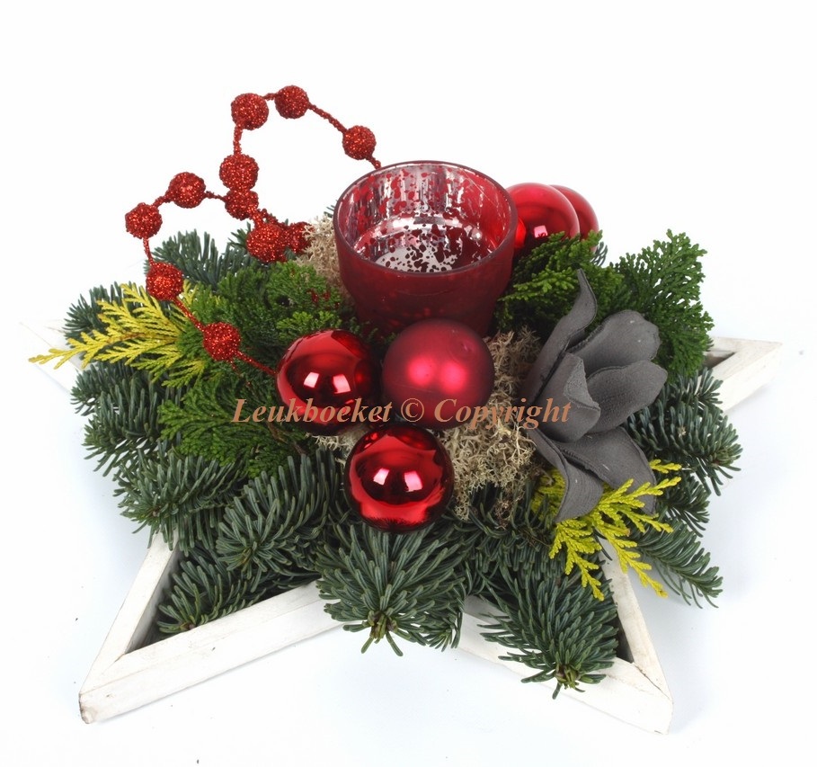 Ongelofelijk Smelten conservatief Kerststuk Ster rood | HMF Bloemen